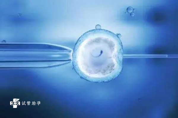 做试管婴儿冻胚移植为什么要在下午做？