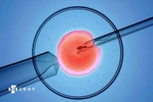 试管囊胚移植后出血需要做保胎措施吗？
