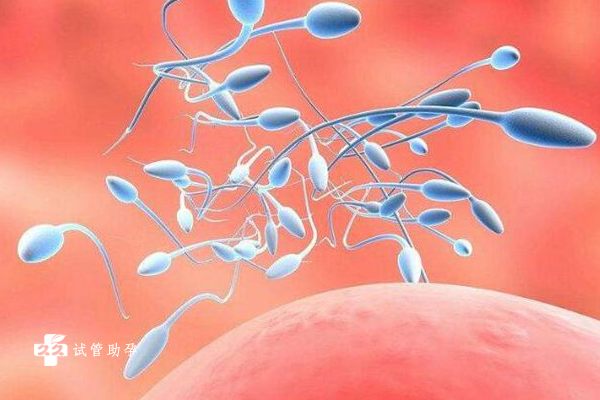 患有卵巢囊肿对冻胚移植有影响吗？