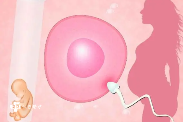 抗体七项的最佳检查时间是什么，去看不孕不育要注意这些事