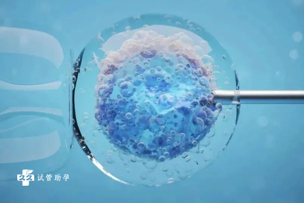 做试管婴儿移植冻融胚胎的成功率高吗？