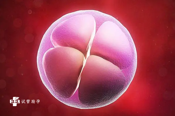 ppos方案取卵后不用立刻移植，延迟移植能增加受孕成功率