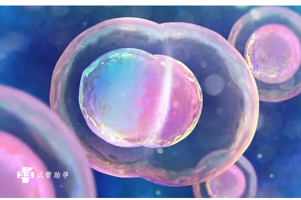 试管移植优质胚胎为什么还会养囊失败？