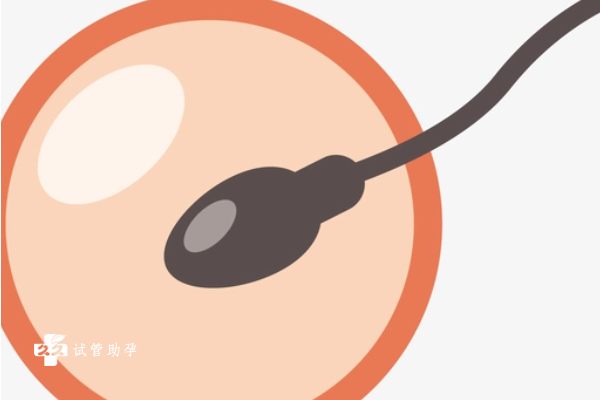 试管鲜胚移植后第10天来月经是移植失败吗？