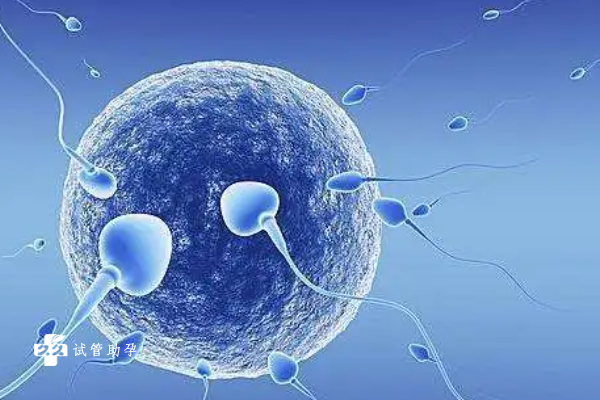 试管鲜胚移植成功表现有哪些？有没有成功案例参考？